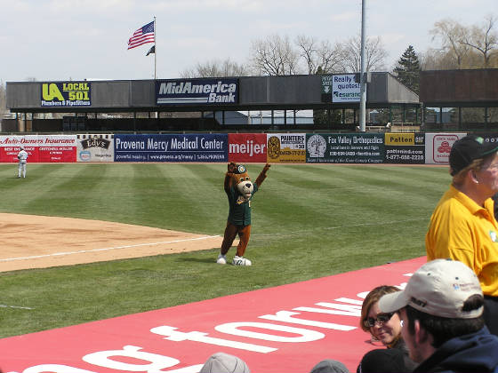 Ozzie working the crowd - Kane County Cougars